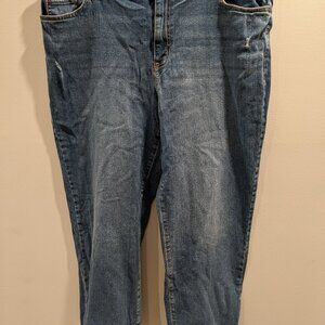 Gloria Vanderbilt Women's Boyfriend Medium Wash Blue Jeans Straight Leg Sz 18